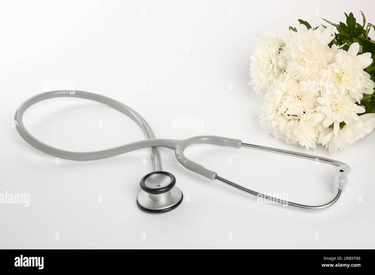 Stethoscope and chrysanthemum flowers on white background. Happy Doctor ...