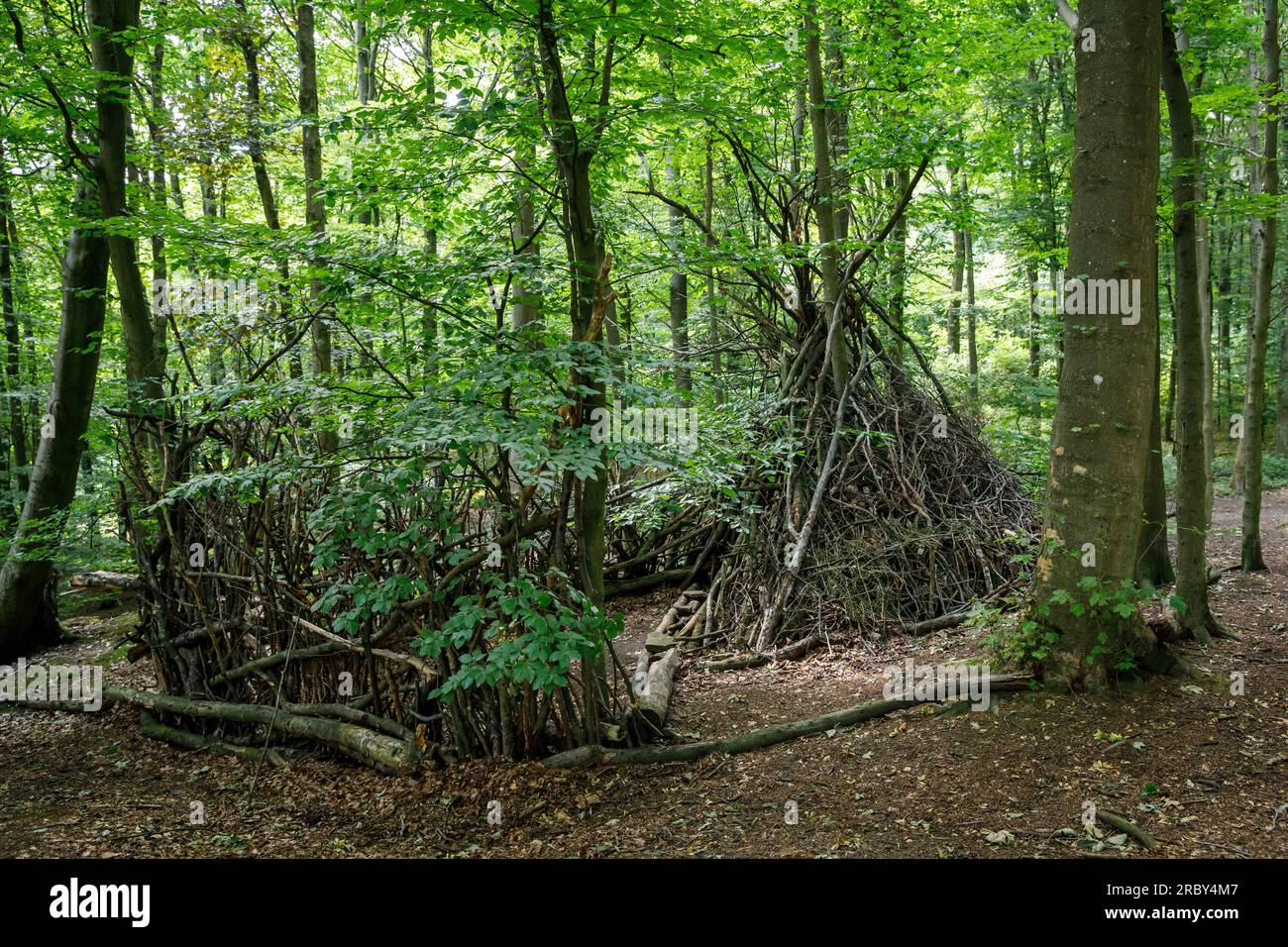 branch hut in the wood in the Ardey mountains near Herdecke, North Rhine-Westphalia, Germany. Asthuette im Wald im Ardeygebirge bei Herdecke, Nordrhei Stock Photo
