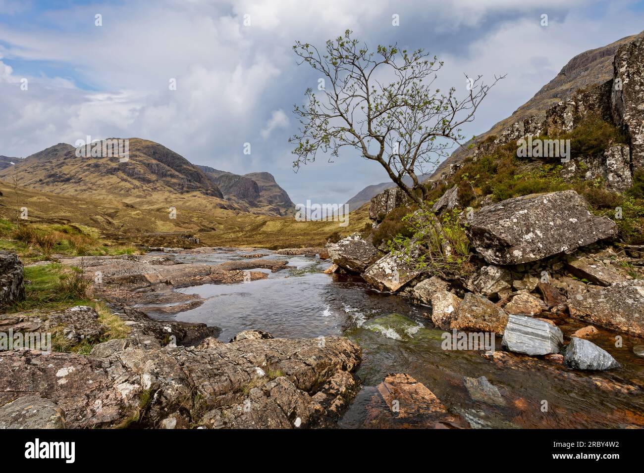 lone tree by stream in glencoe scottish highlands Stock Photo
