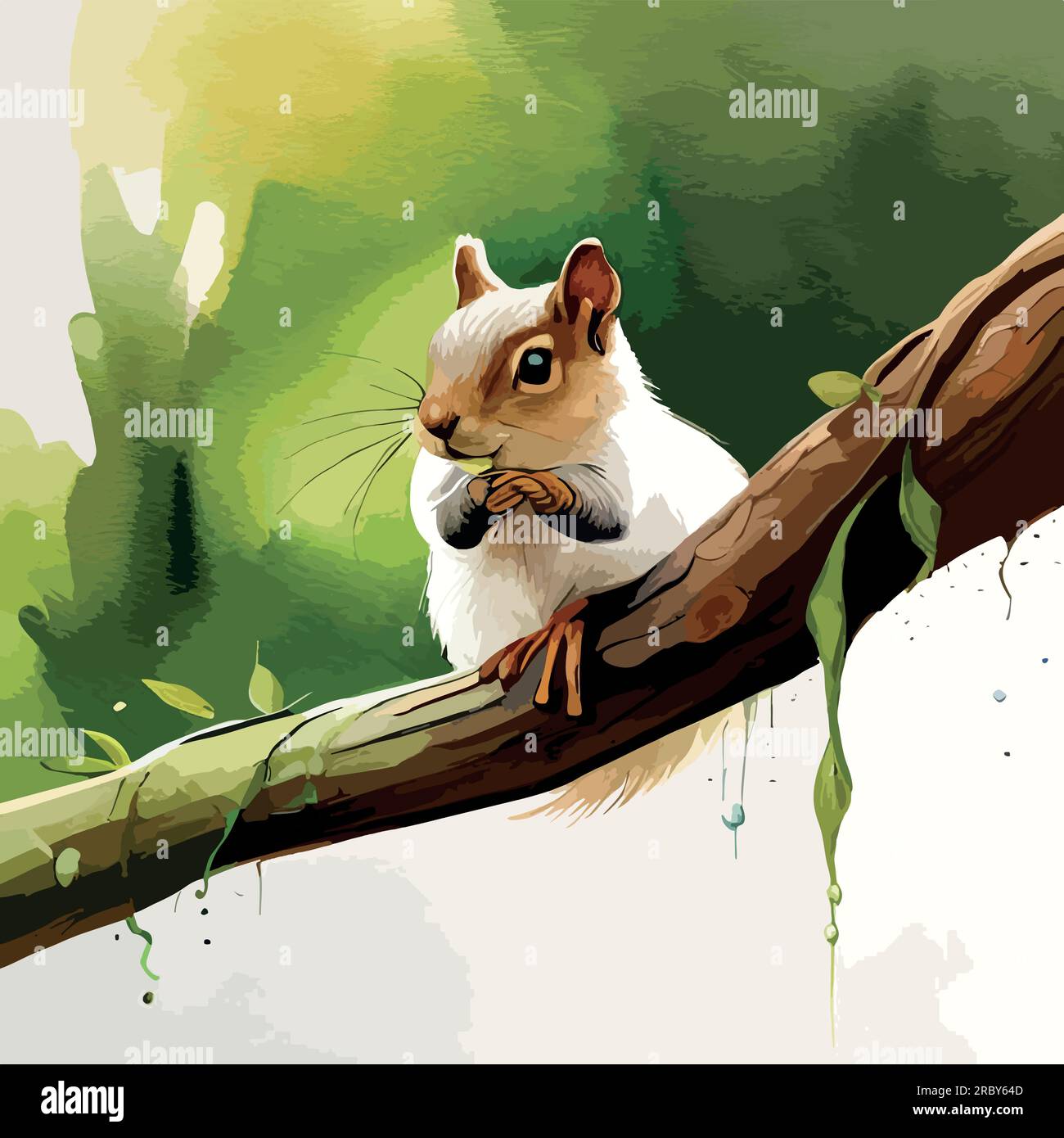 Squirrel watercolor art illustration Stock Vector Image & Art Alamy