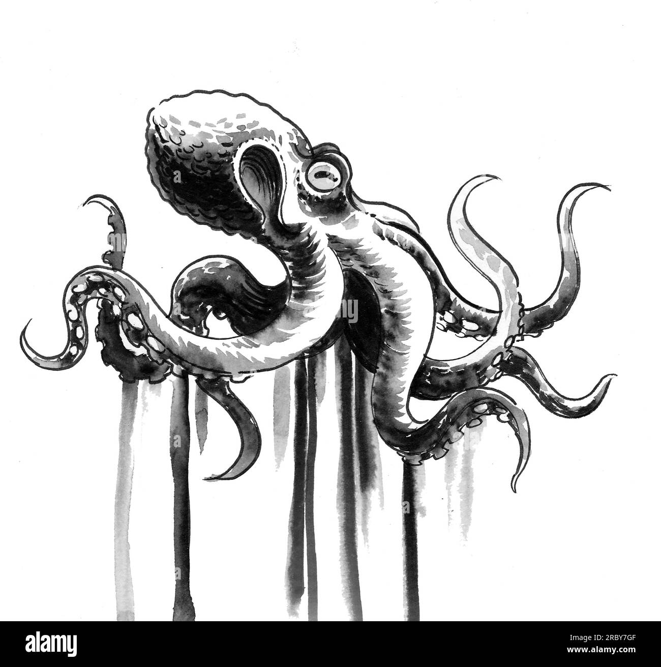 Inky octopus. Ink black and white drawing Stock Photo Alamy