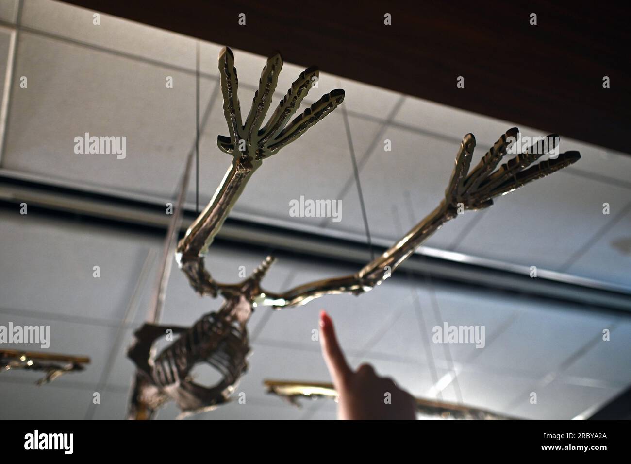 New York, USA. 10th July, 2023. An employee points to the smaller bones ...
