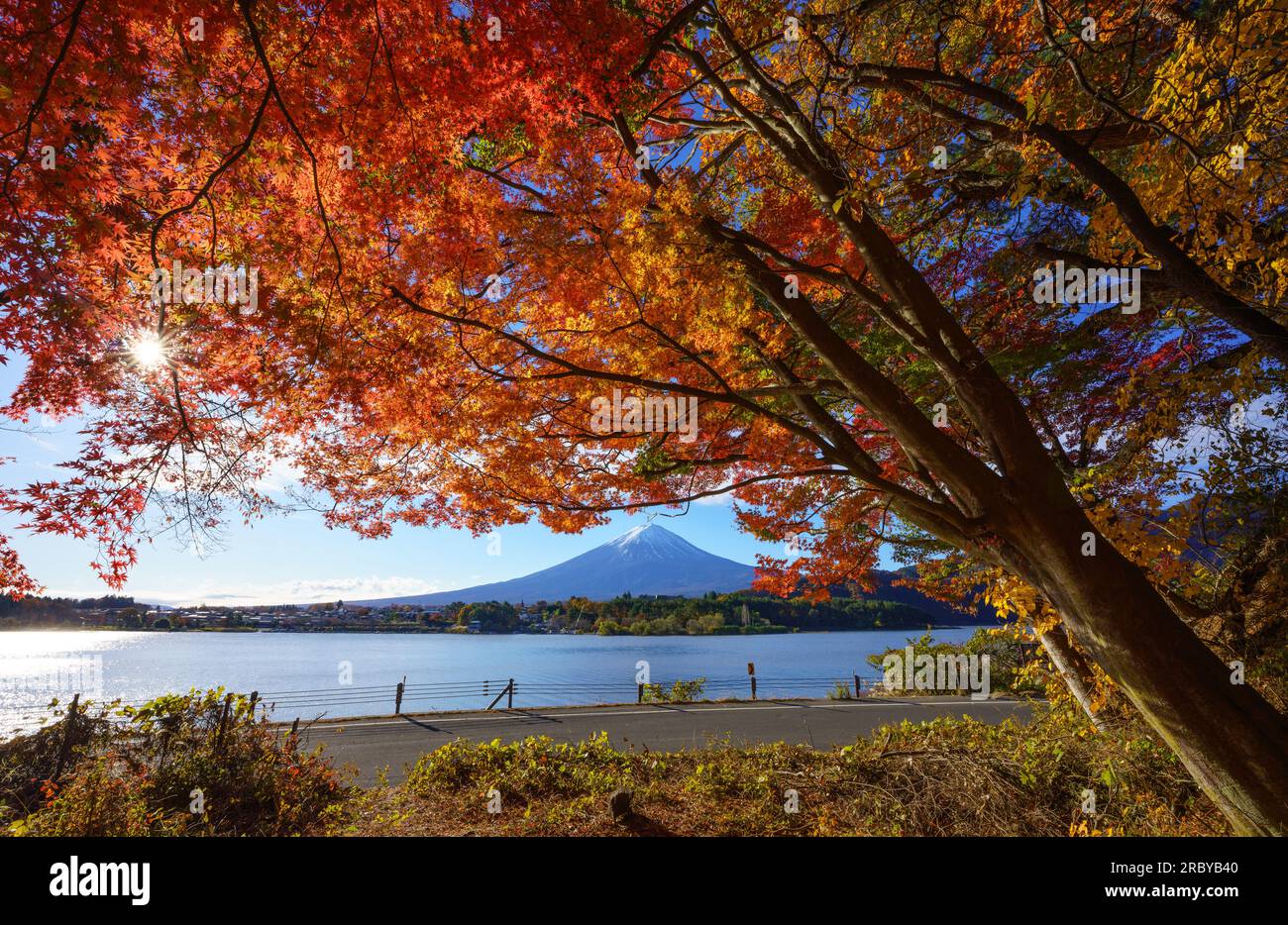 Mountain fuji with red maple in Autumn, Kawaguchiko Lake, Japan Stock ...