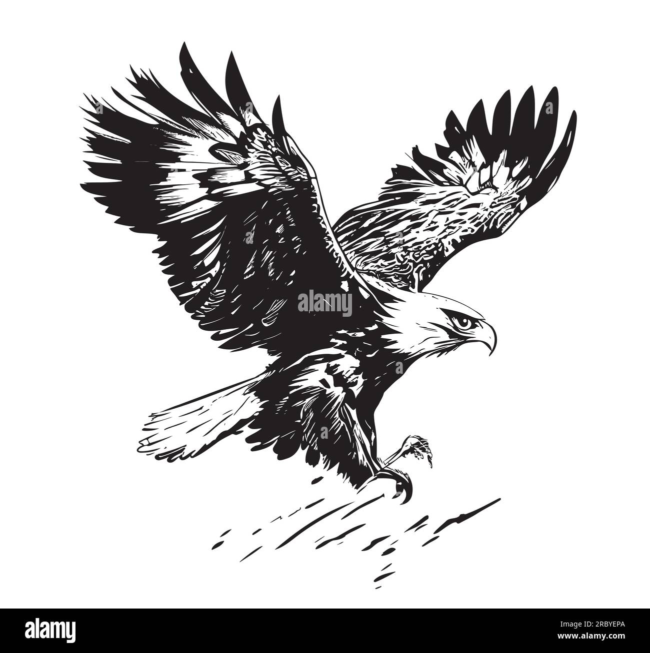 Eagle flying sketch hand drawn engraving style illustration Stock