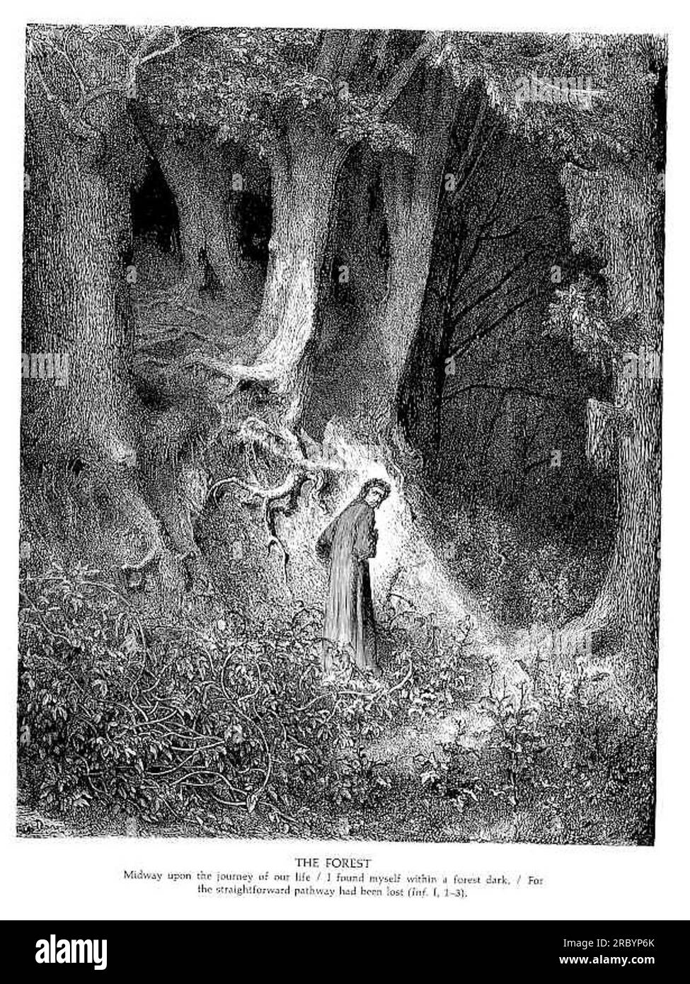 The Forest by Gustave Dore Stock Photo - Alamy