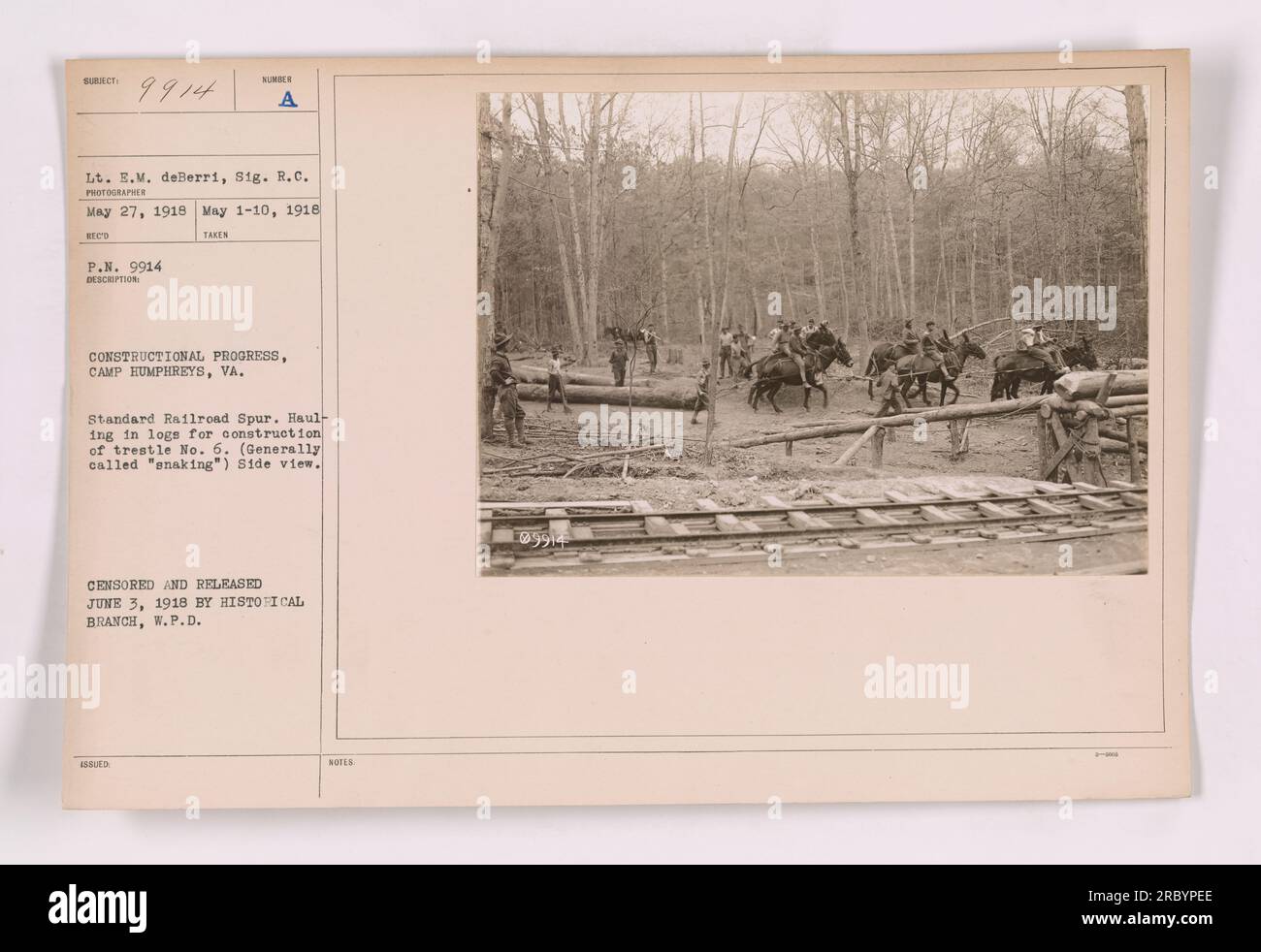 Constructional progress at Camp Humphreys, Virginia. This image shows the process of hauling in logs for the construction of trestle No. 6, also known as 'snaking.' The photograph was taken on May 27, 1918, by Lieutenant E.M. deBerri of the Signal Corps. It was censored and released on June 3, 1918, by the Historical Branch, W.P.D. Stock Photo