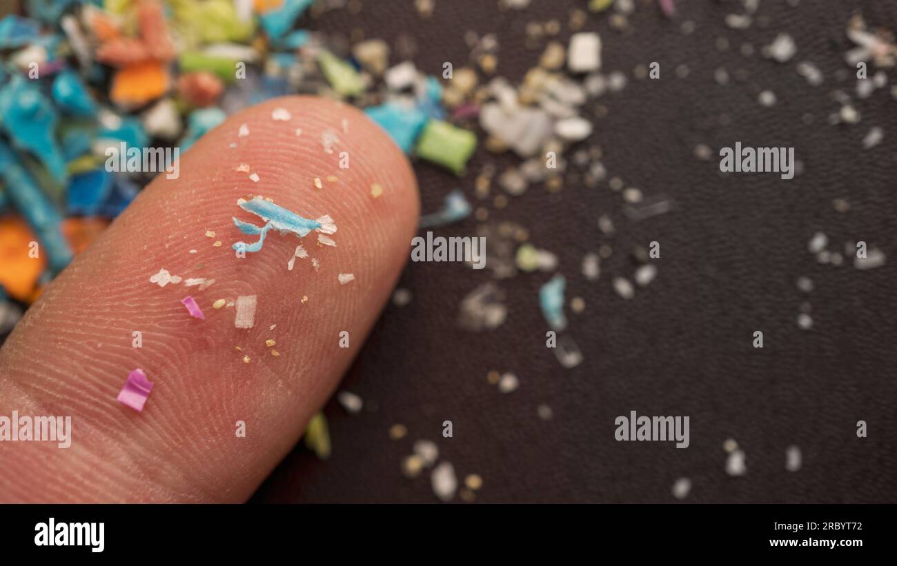 Macro picture of microplastic particles and sand grains on a human finger for size comparison. Concept for water pollution and global warming. Stock Photo