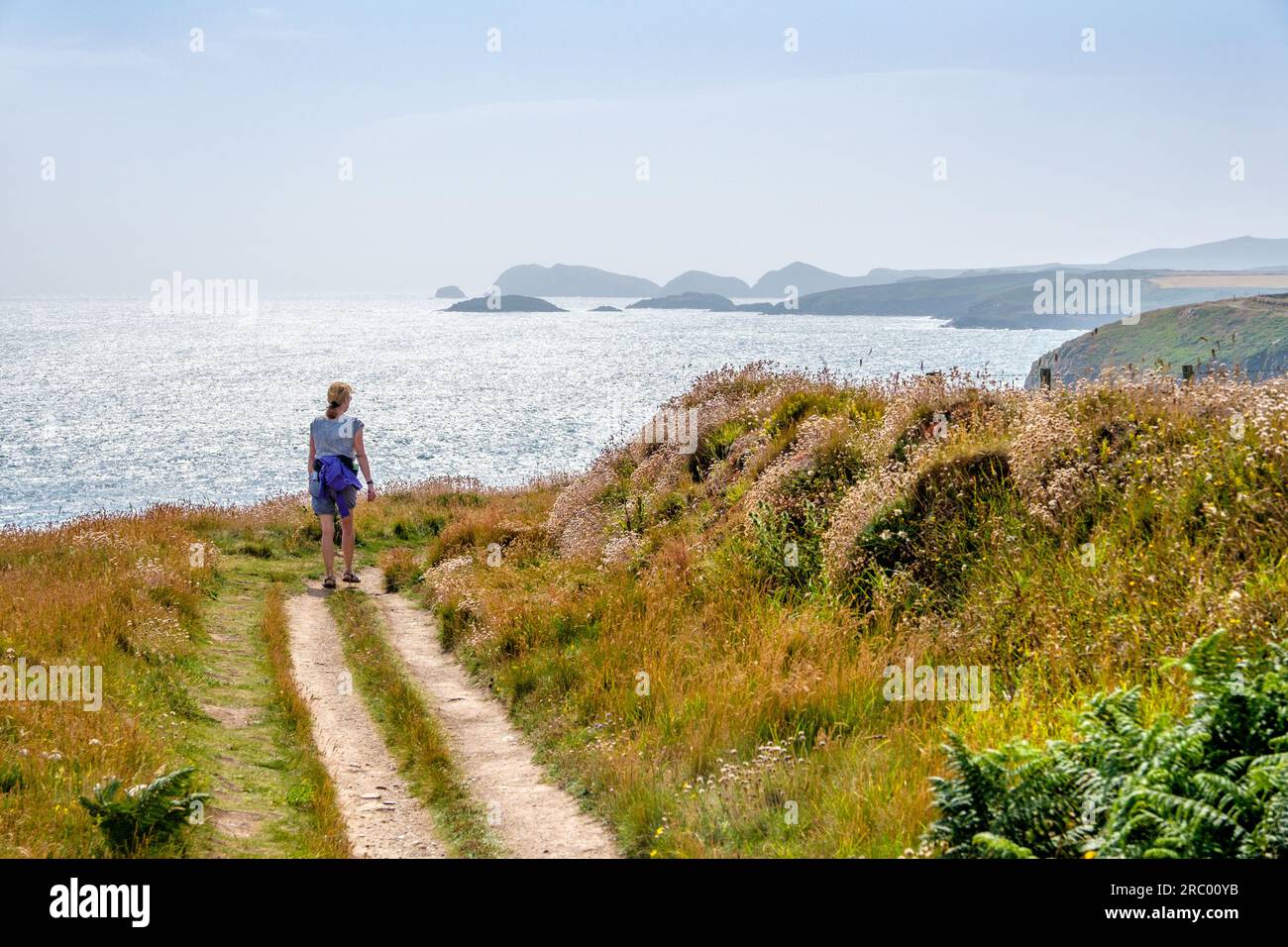 Female walker on the Pembrokeshire Coast National Trail, Wales Stock Photo