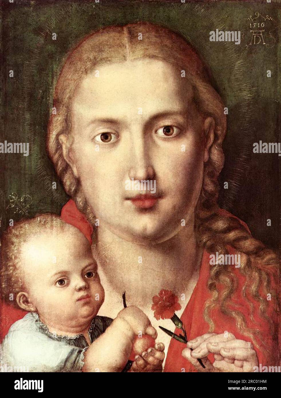 The Madonna of the Carnation 1516 by Albrecht Durer Stock Photo Alamy