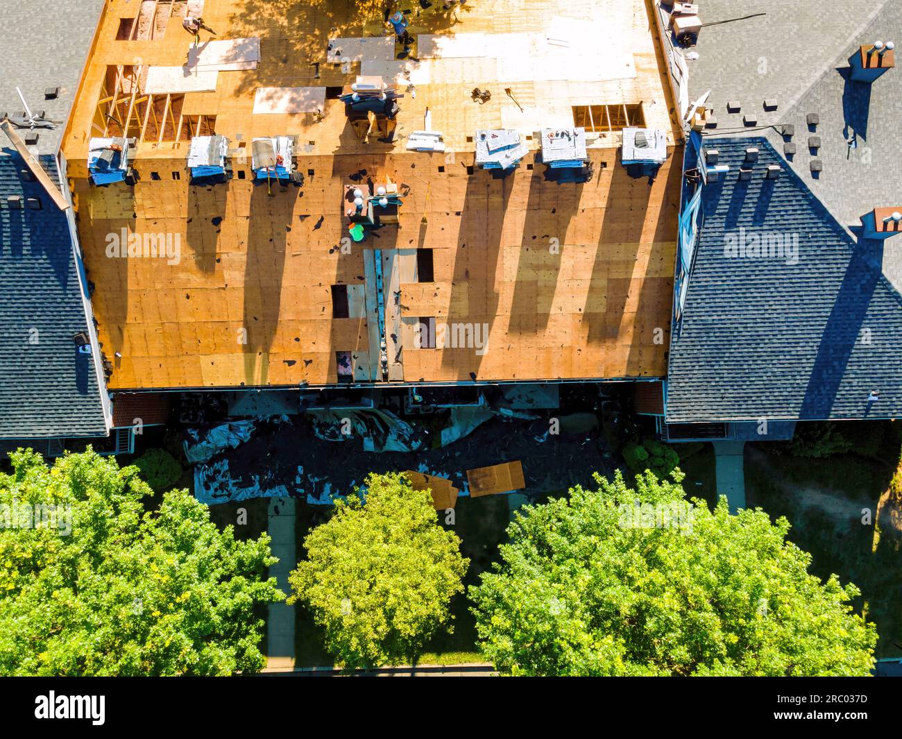 Gallery image with a fresh perspective