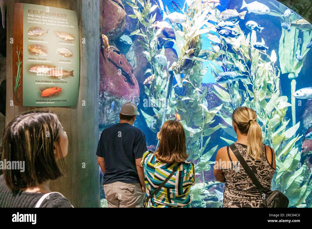 Atlanta Aquarium,inside interior exhibits,family