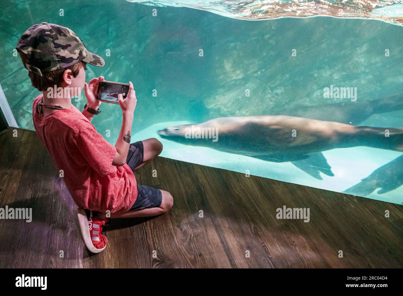 Atlanta Aquarium,inside interior exhibits,boy