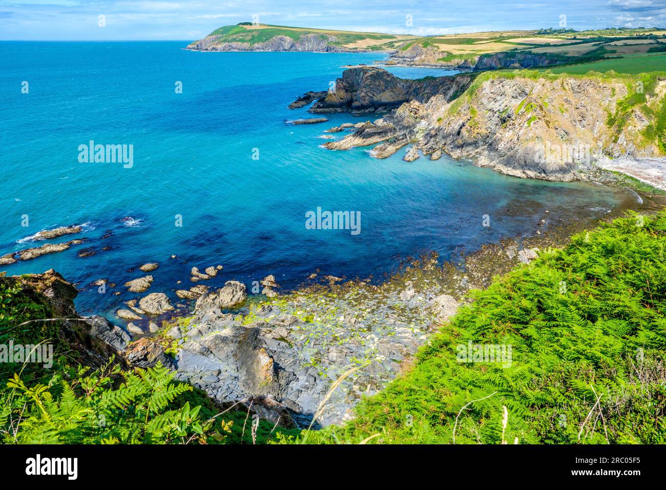 The Pembrokeshire Coast at Dinas Head, Wales, UK Stock Photo