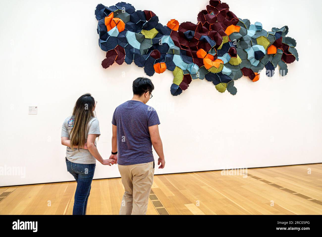 Atlanta Arts Center centre,High Museum of Arts,exhibit,display collection,fine