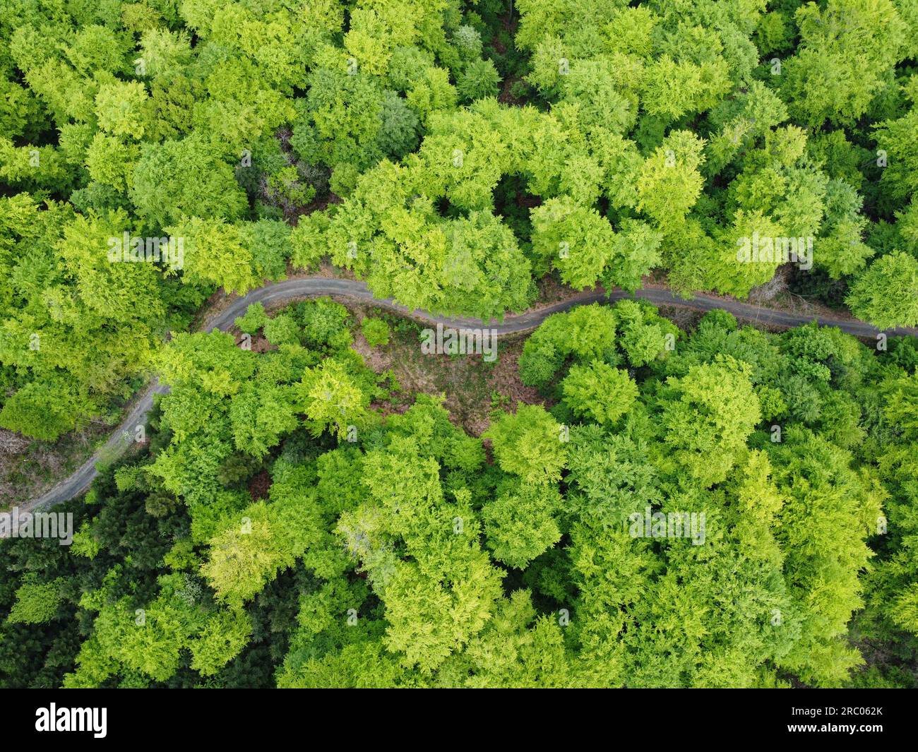 Green and natural park hi-res stock photography and images - Alamy