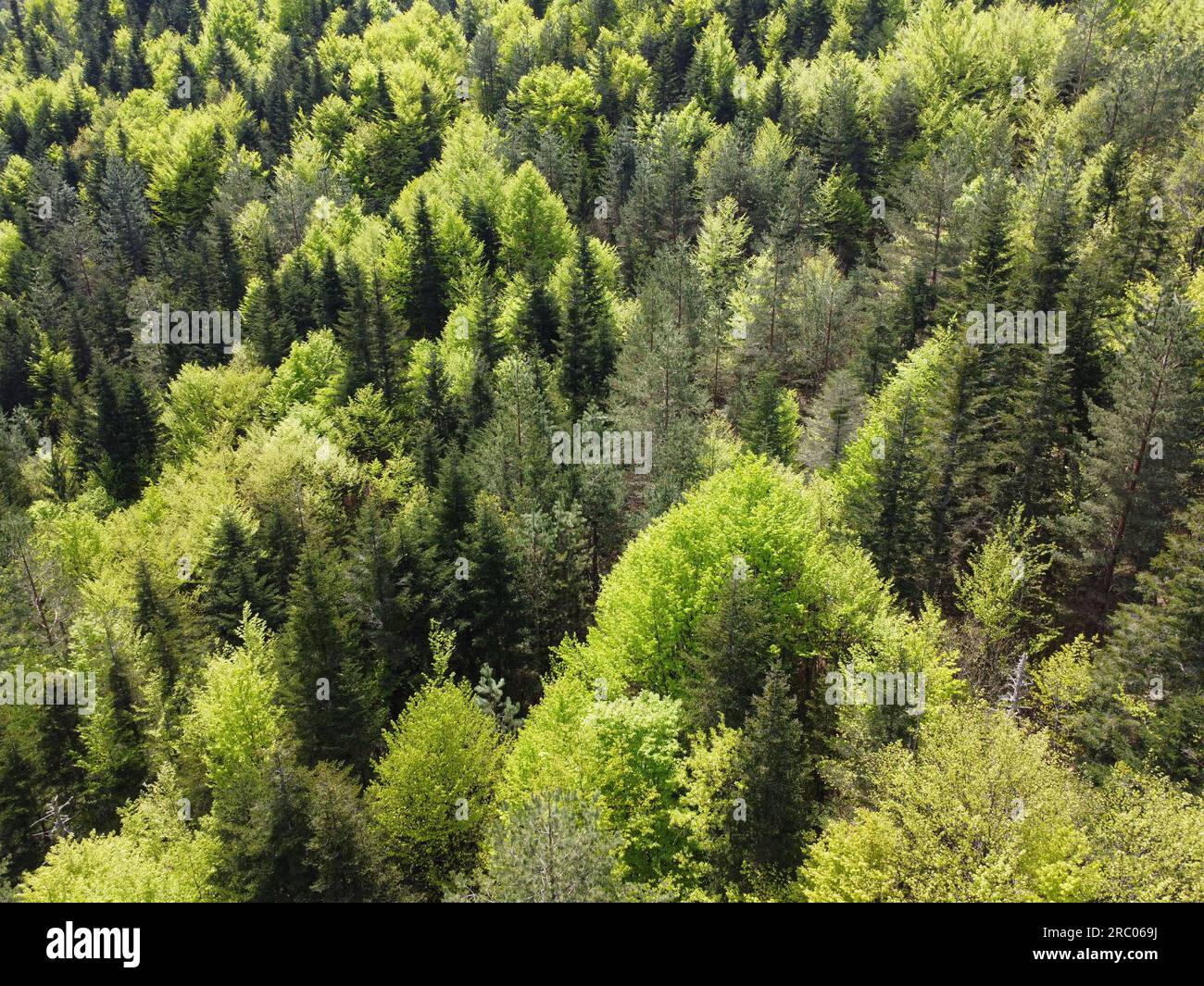 Drone shot beautiful green mountain hi-res stock photography and images ...