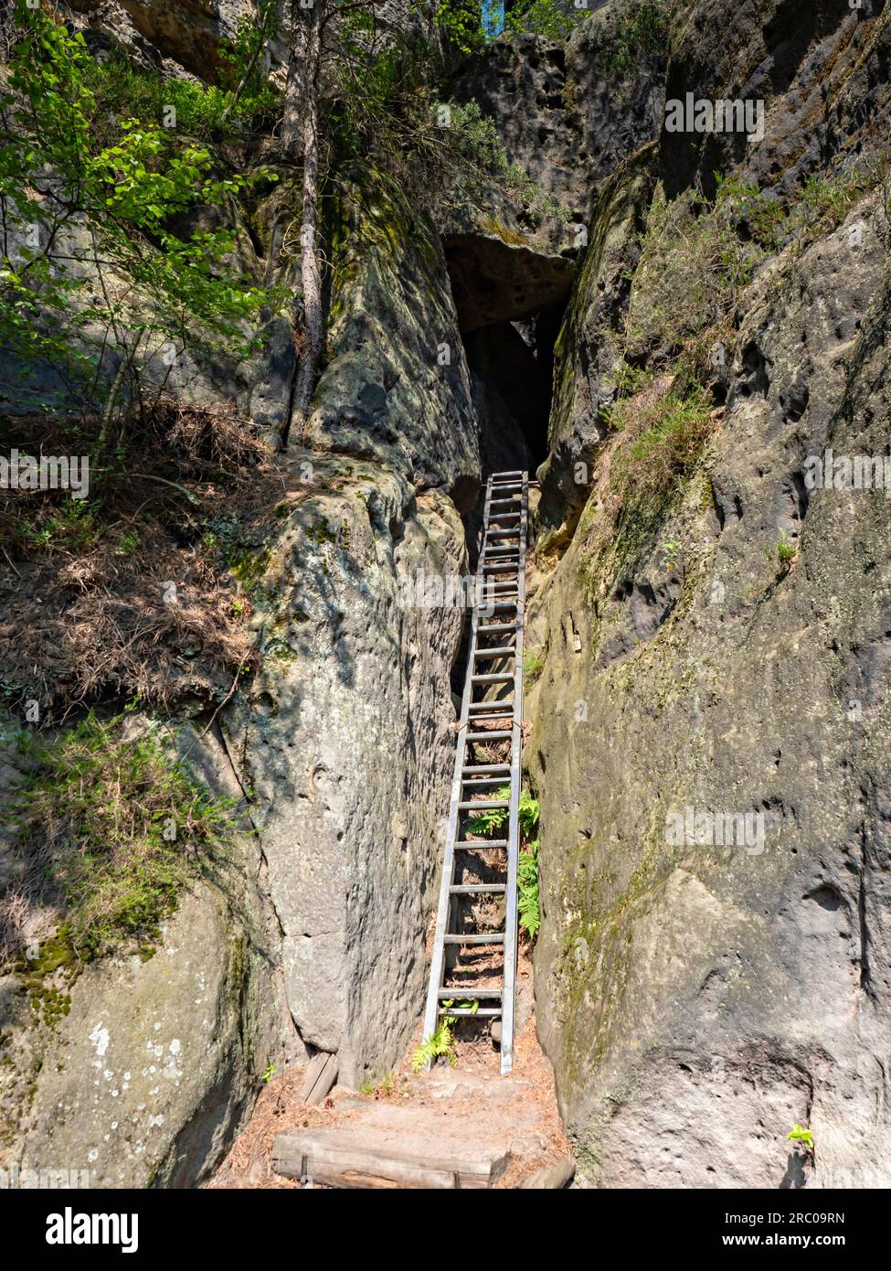 Lader Path Steel ladder stair climbing on mountain. Via ferrata path in Saxony ...