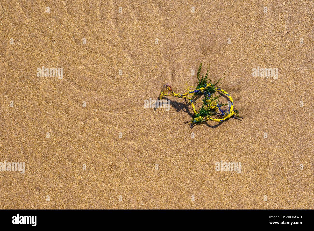 Small piece of plastic fishing net on a sandy beach in Wales Stock Photo