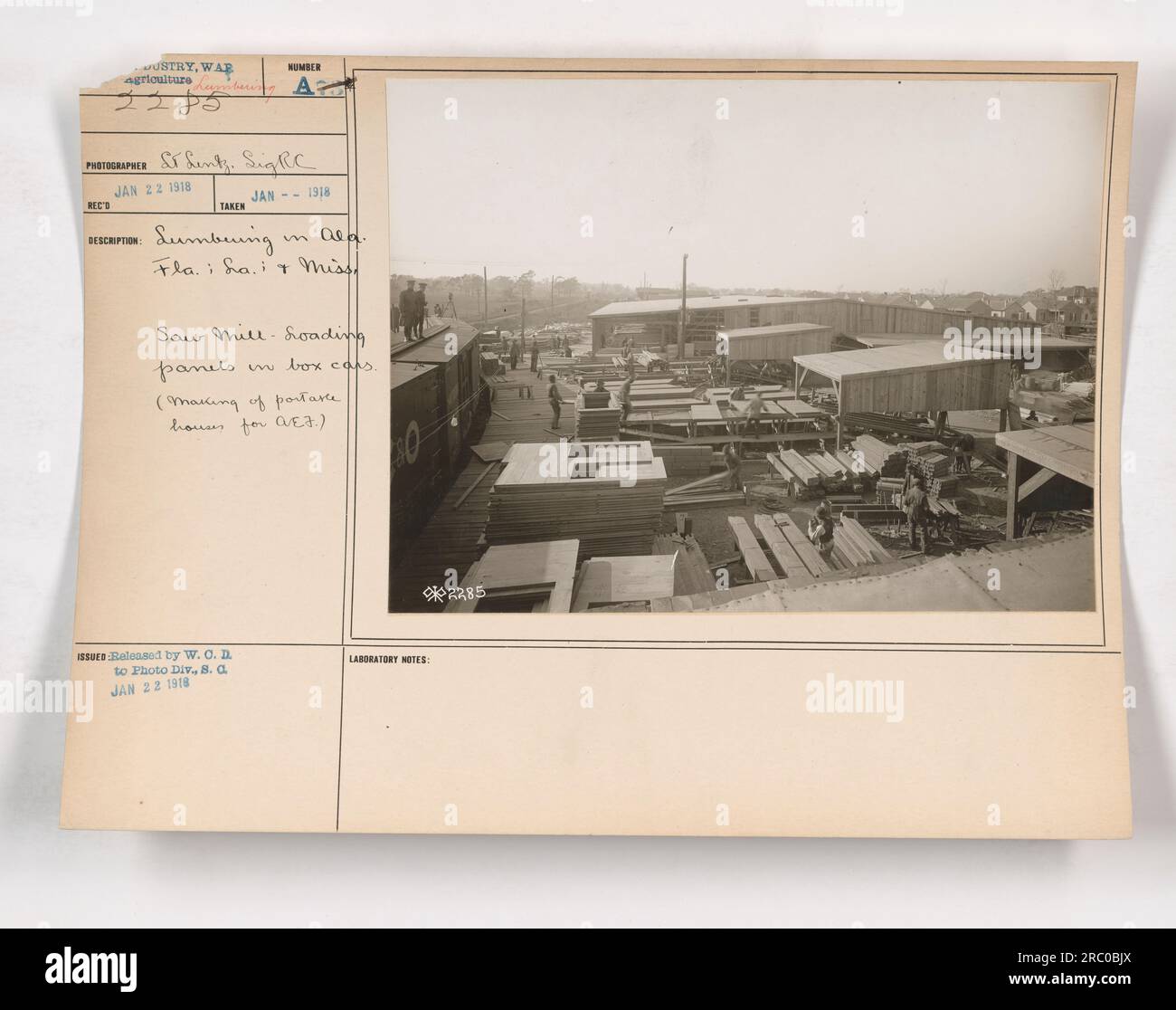 Saw mill workers load panels into box cars, creating portable houses for the American Expeditionary Forces during World War One. This image was taken in January 1918, as part of the war effort. The photograph was captured by St. Lintz. Stock Photo