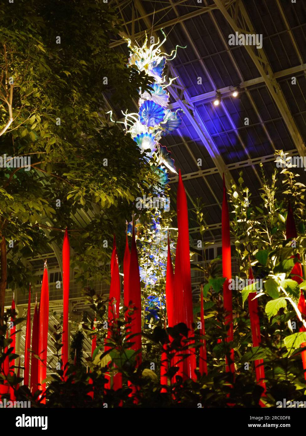 Temperate House Persians, 2018, behind Red Reeds, 2016, by Dale Chihuly - illuminated in the Chihuly Nights exhibition at Kew, 4th October 2019 Stock Photo