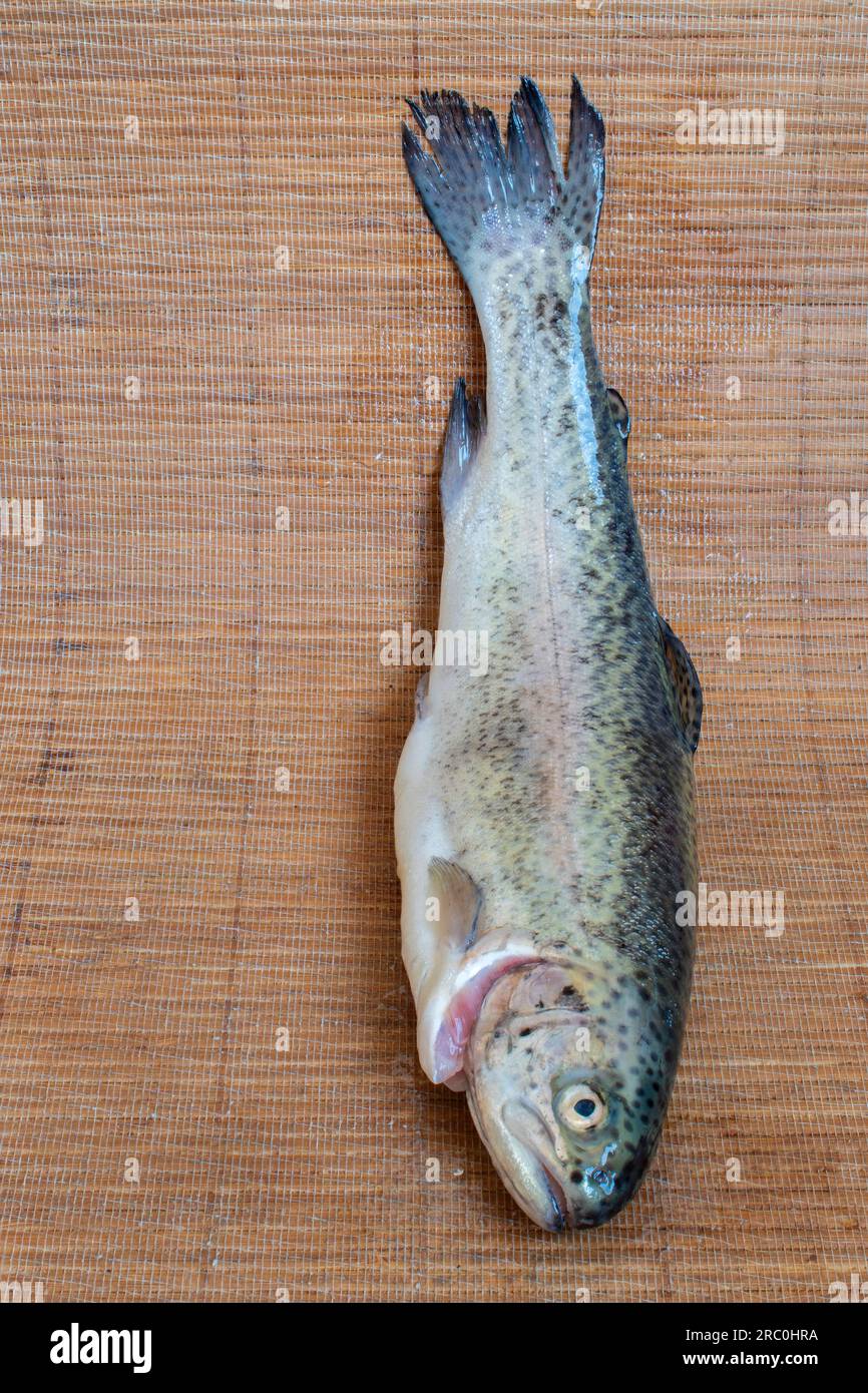 Noble fish hi-res stock photography and images - Alamy