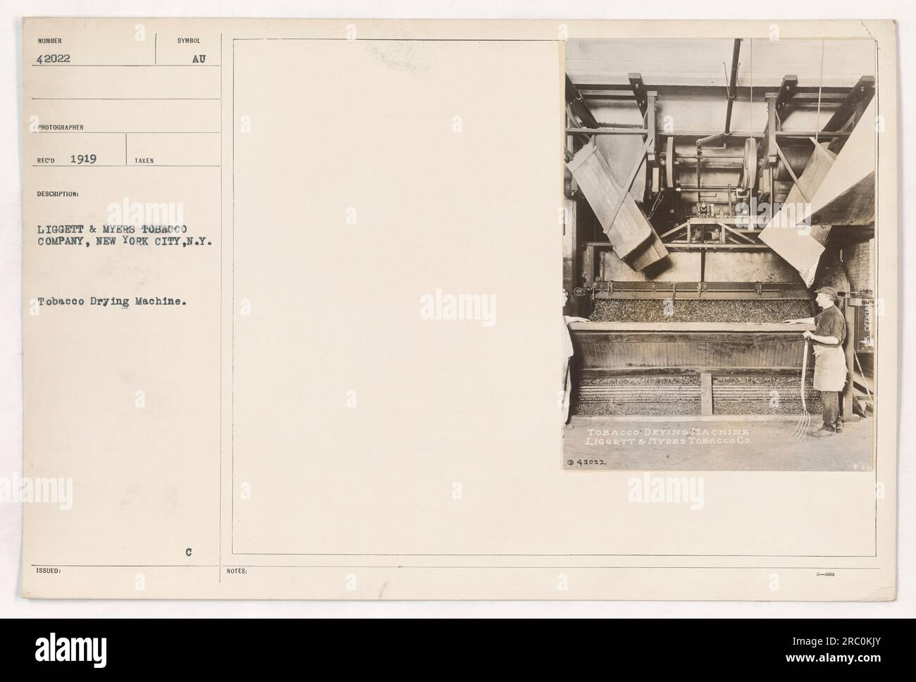 Tobacco drying machine at Liggett & Myers Tobacco Company in New York