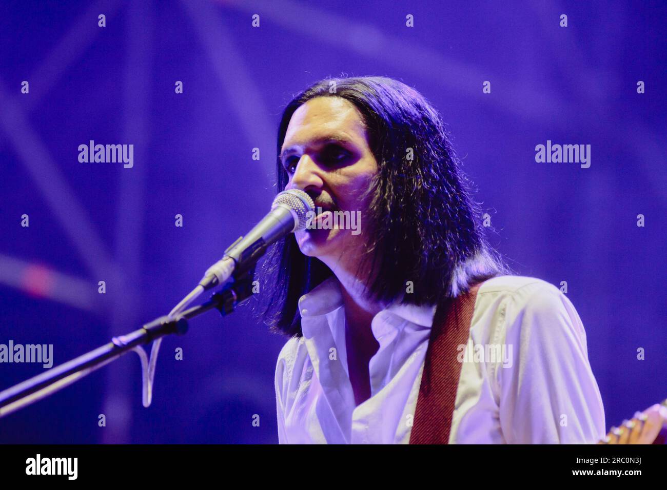 british english band Placebo perfor live in Turin, during the Stupinigi