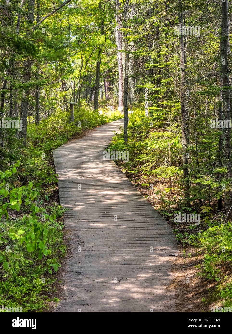 Boardwalk in Big Bay State Park on Lake Superior on Madeline Island in the Apostle Islands National Lakeshore in Wisconsin USA Stock Photo