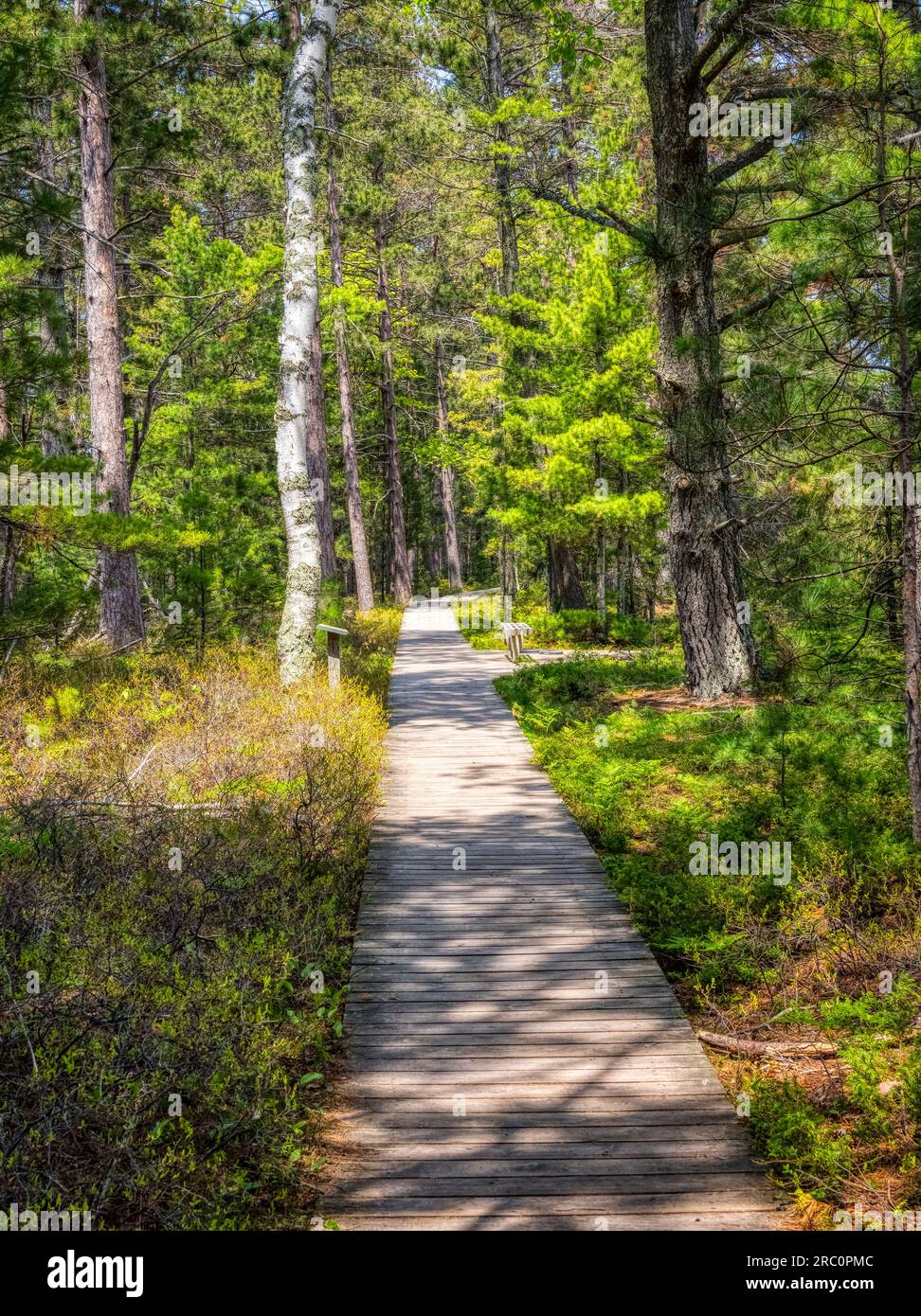 Boardwalk in Big Bay State Park on Lake Superior on Madeline Island in the Apostle Islands National Lakeshore in Wisconsin USA Stock Photo