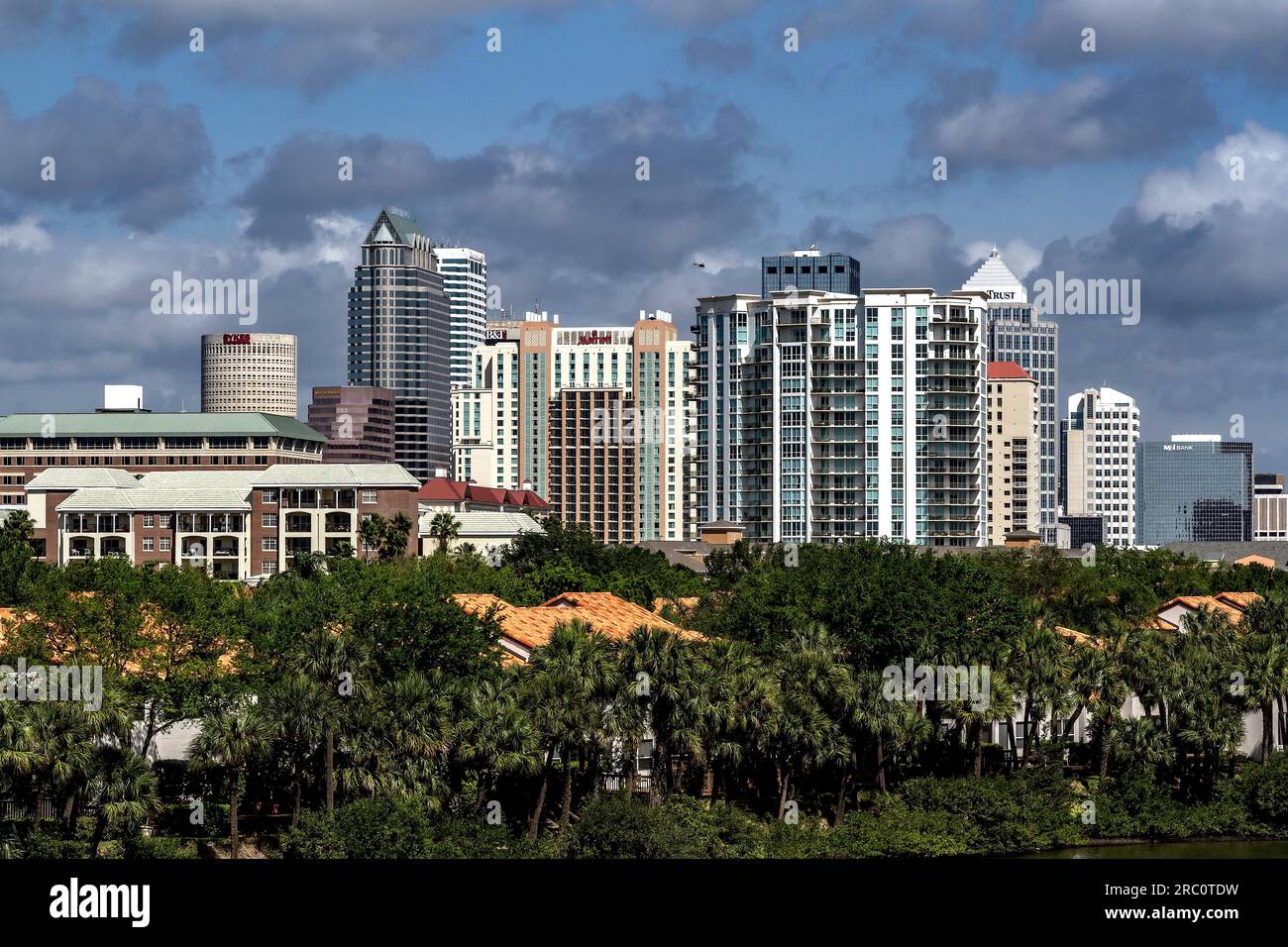 Tampa skyline view across Davis Island from Seddon Channel. Tampa Bay, Fl. Stock Photo