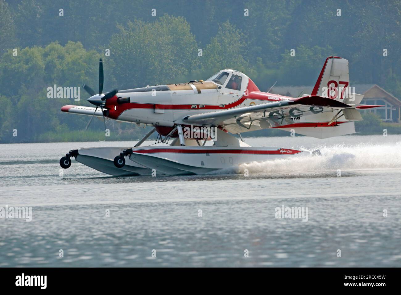 Smithers BC.- July 09 2023 - A Water-Bomber Airplane can bee seen on Tyhee Lake, filling up his tanks to fight several Forest Fires near Smithers Stock Photo