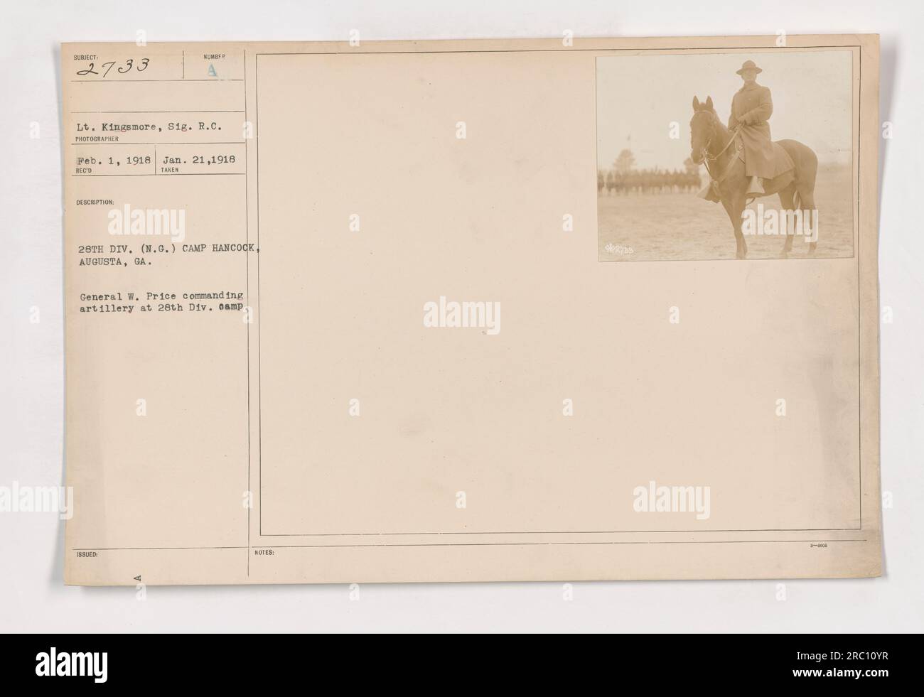 WW1 photo postcard of artillery horses KIA WW1 photo postcard of artillery horses KIA