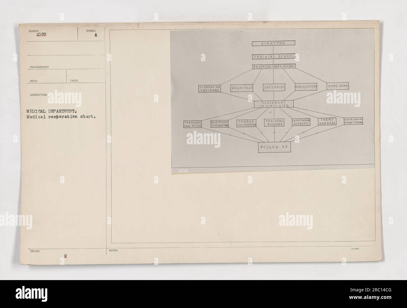 Medical restoration chart hires stock photography and images Alamy