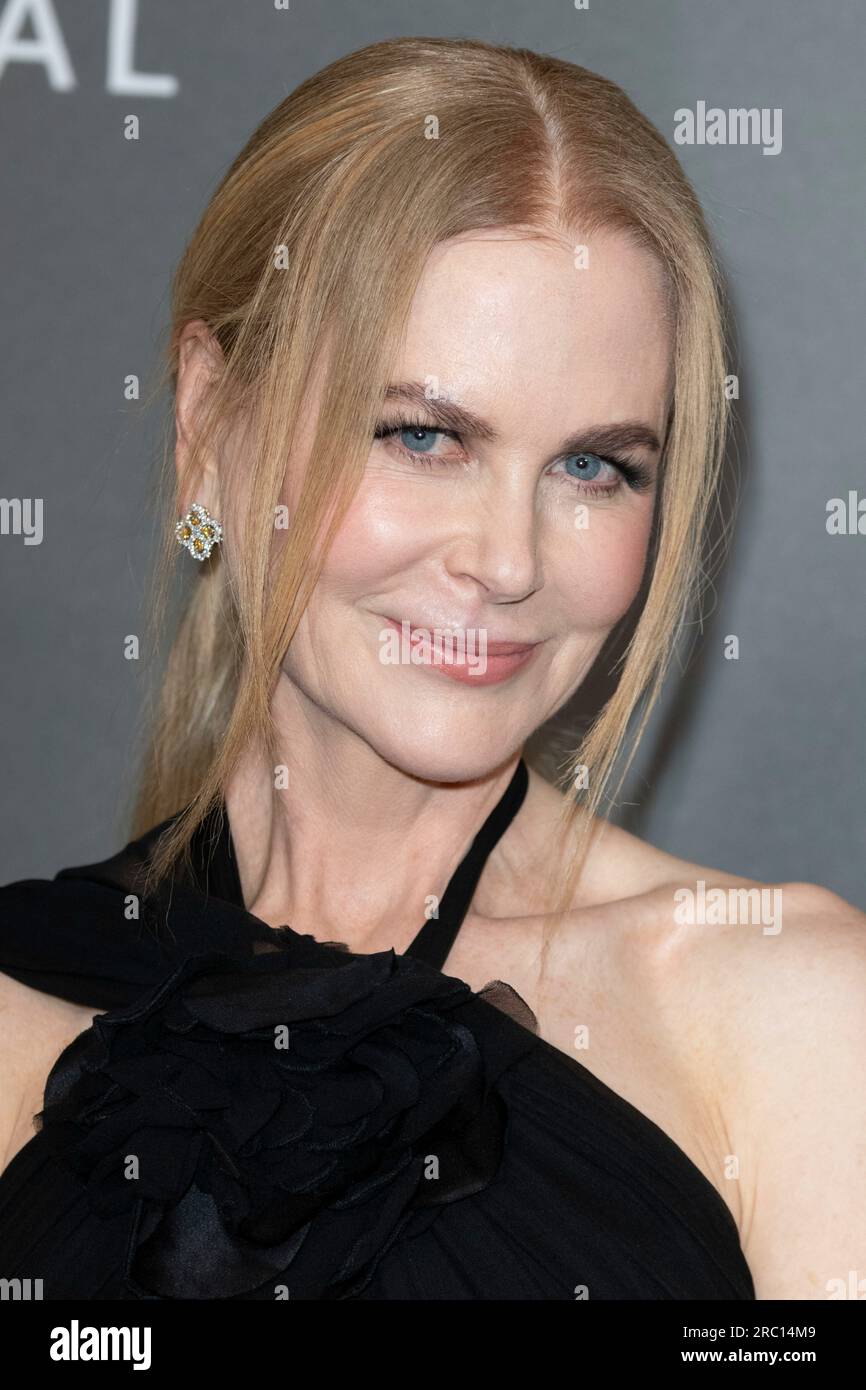 Special ops lioness hires stock photography and images Alamy