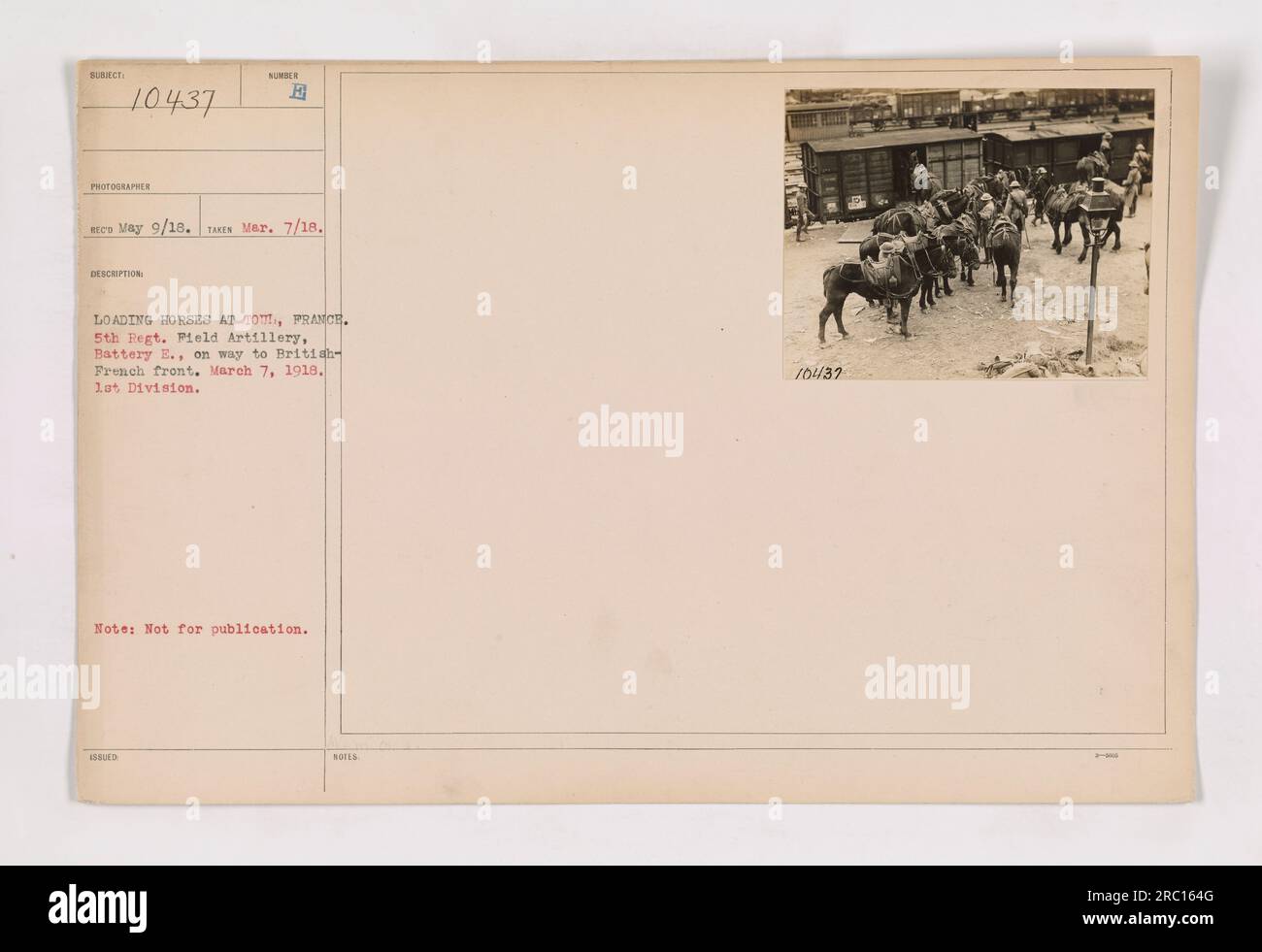 Soldiers loading horses onto a transport vehicle at toul france this
