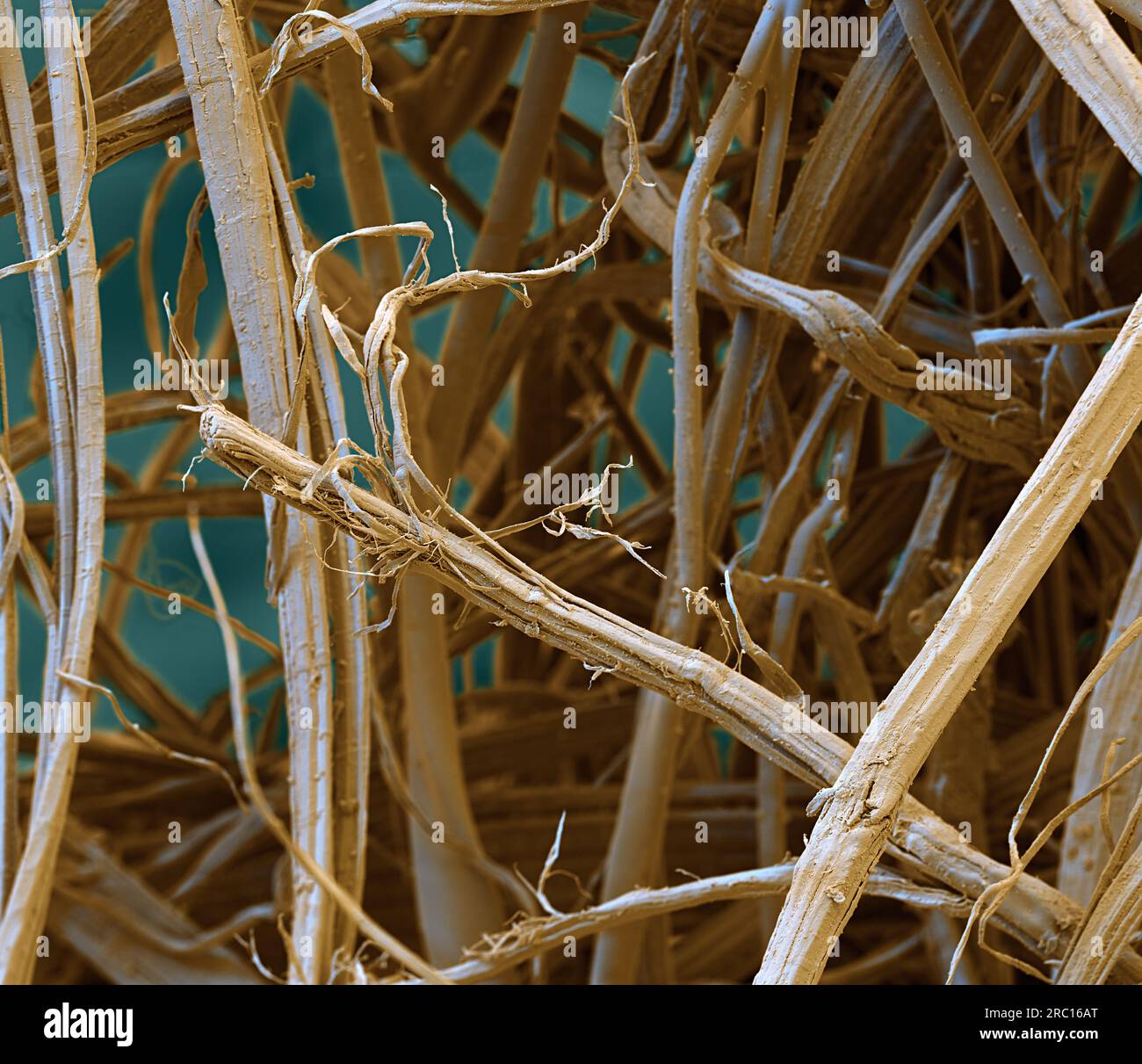 Jute fibres, SEM Stock Photo