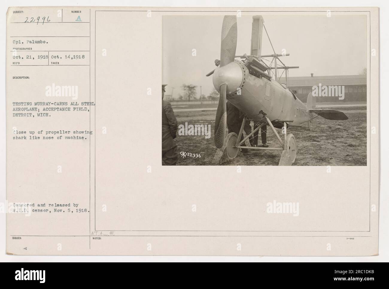 Shark like nose hi-res stock photography and images - Alamy