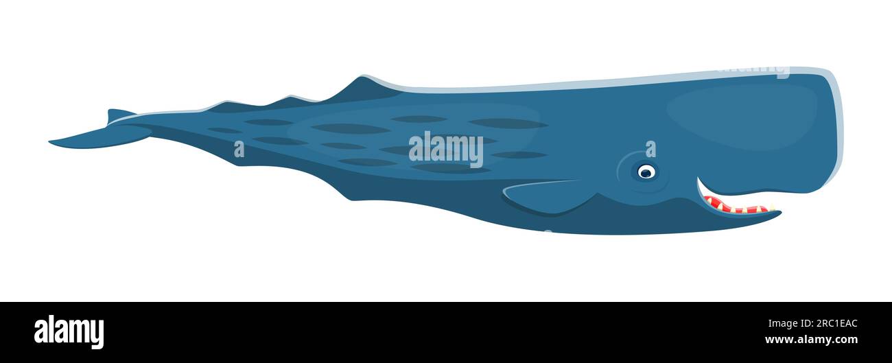 Sea sperm whale character. Isolated cartoon vector magnificent marine enormous size creature with powerful body and square-shaped head. Inhabit deep ocean waters, communicate through clicking sounds Stock Vector