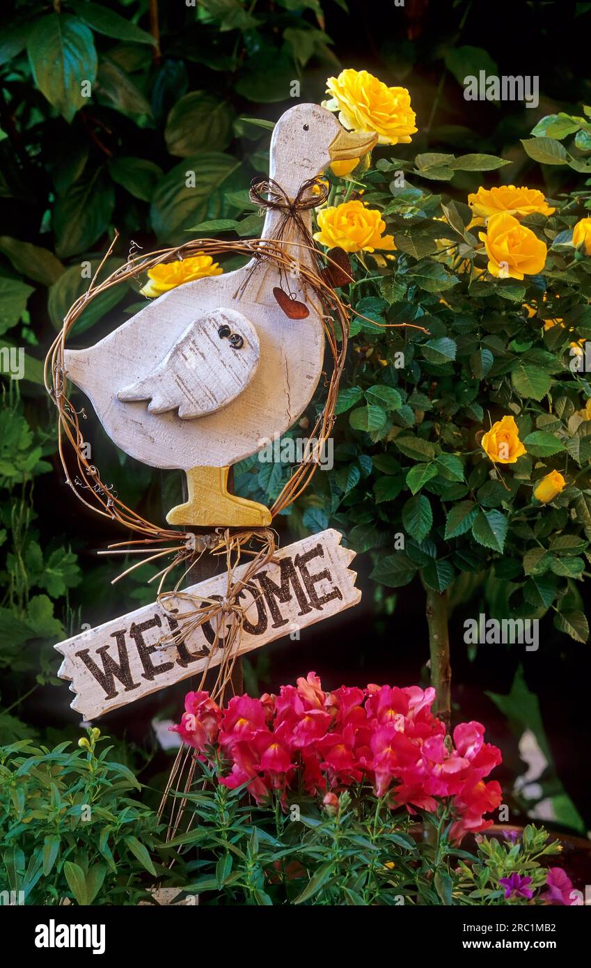 Wooden duck with roses and snapdragons Stock Photo