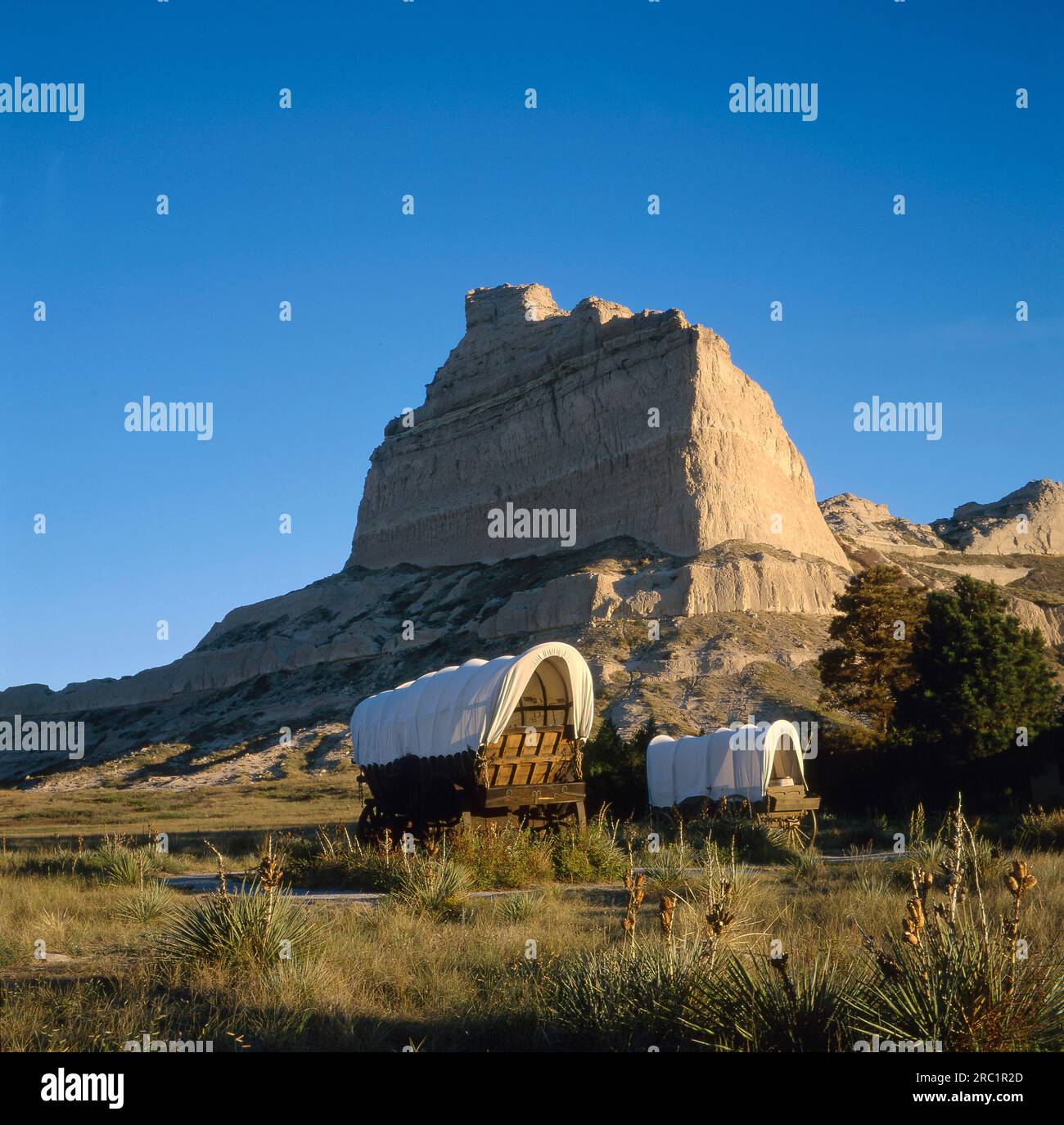 Oregon Trail main image 1