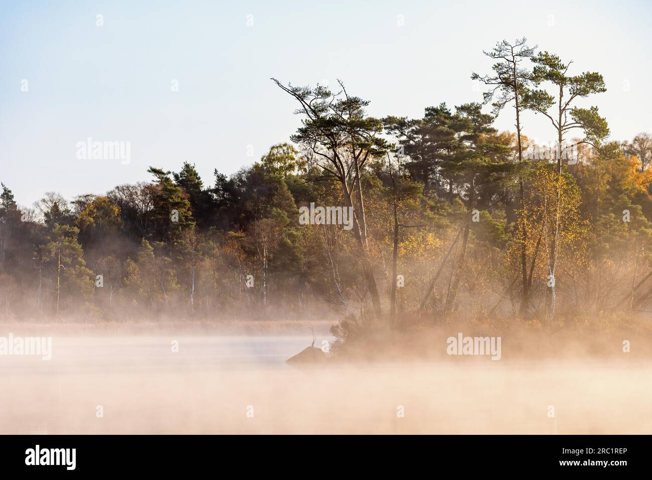 Autumn fog by a forest lake in the wilderness Stock Photo - Alamy