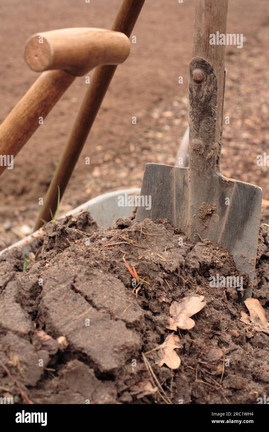 Spade in a wheelbarrow with topsoil Stock Photo - Alamy