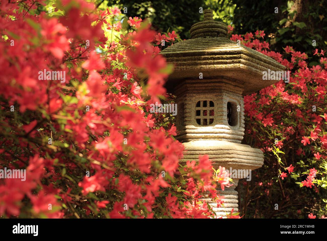 Stone lanterns are typical elements of Japanese gardens Stock Photo