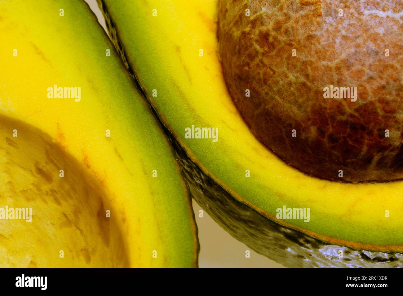 Avocado (Persea americana), sliced Laurel family (Lauraceae) Stock Photo