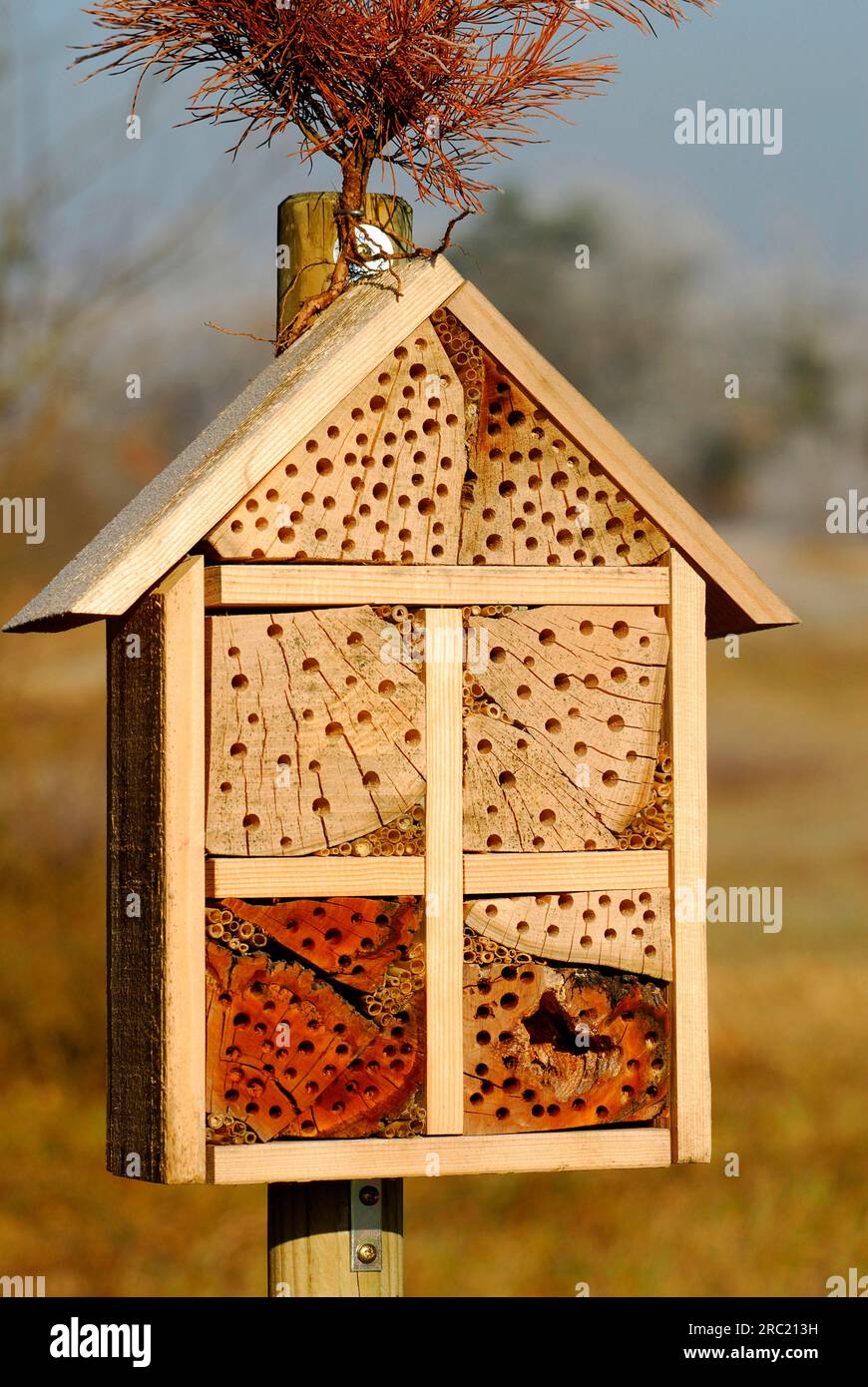 Insect hotel, nesting aid for insects, nature conservation Stock Photo ...