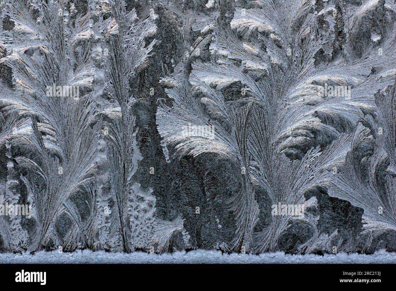 Ice flowers at the window Stock Photo