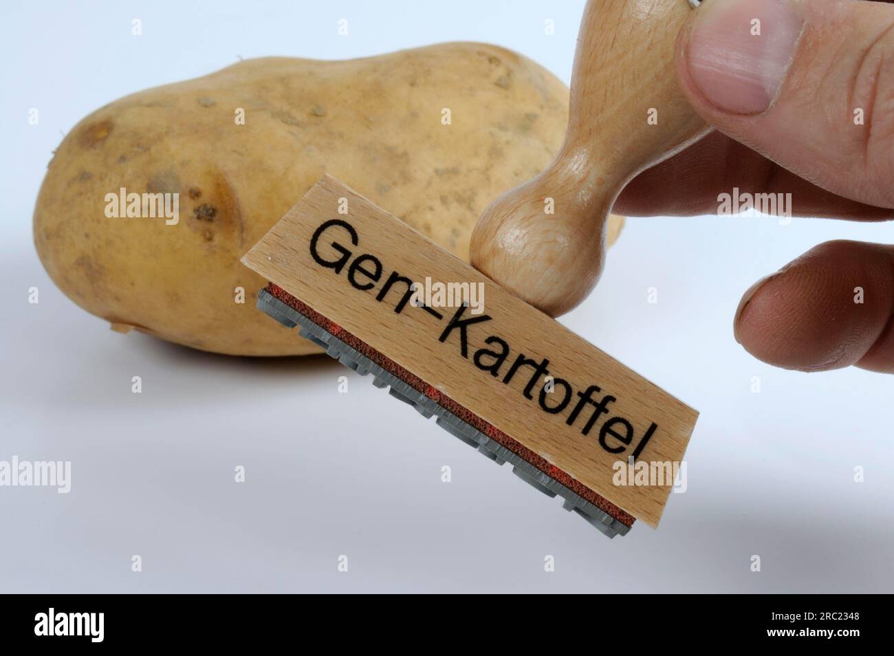 Potato (Solanum tuberosum) and stamp 'gene potato', gene, gene food, gene research, gene-manipulated, gene-manipulated, gene manipulation, genetic Stock Photo