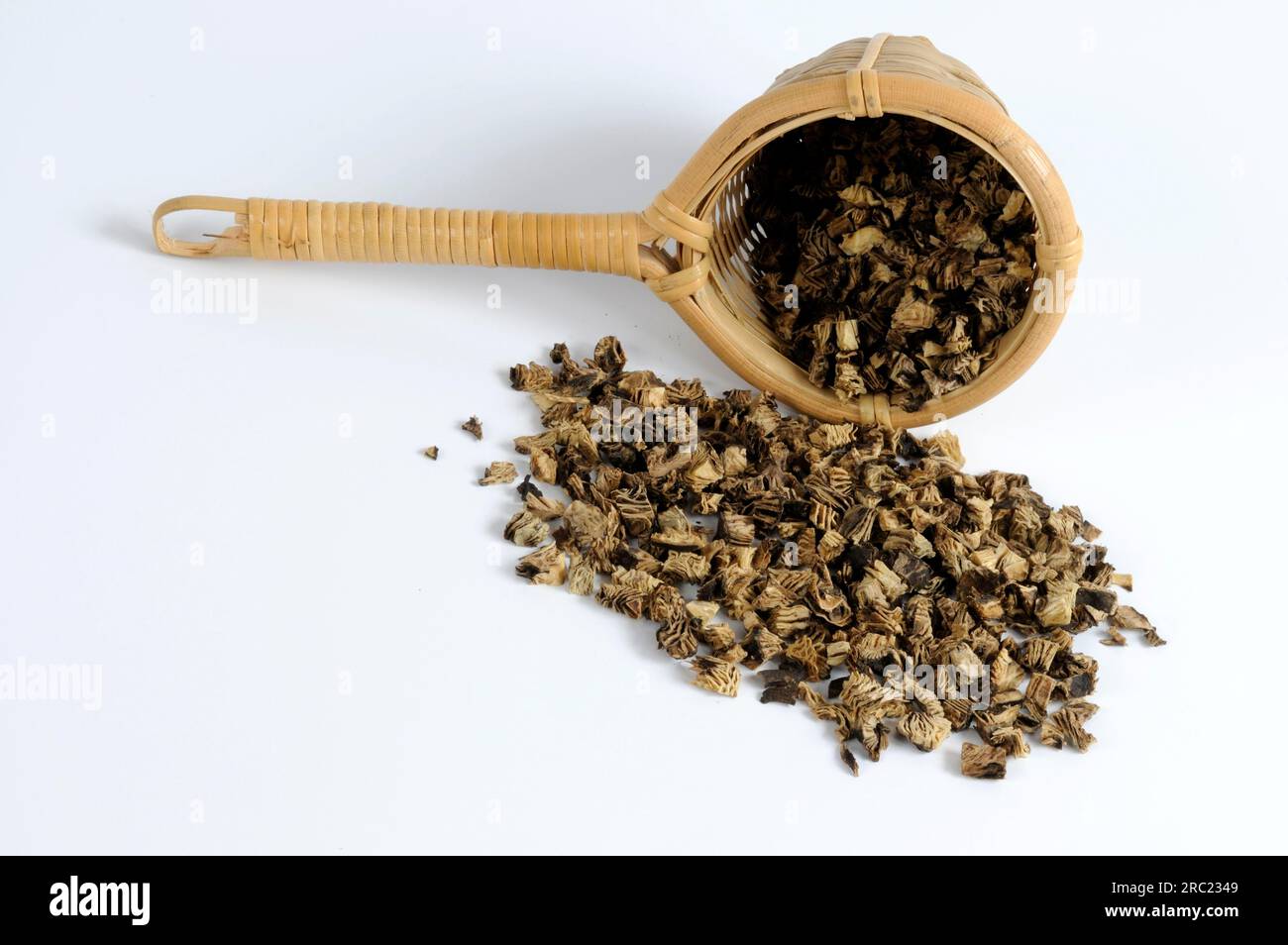 Silver primrose rhizome (Cimicifugae rhizoma), Sheng Ma, cut out ...