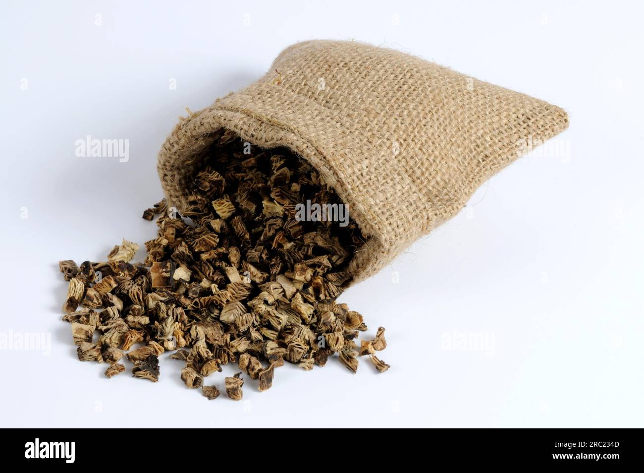 Silver primrose rhizome (Cimicifugae rhizoma), Sheng Ma, cut out ...