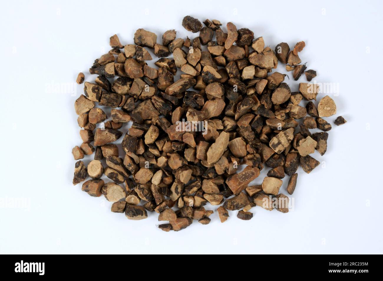 Nutgrass rhizome (Cyperi Rhizoma), Xiang Fu, cut out, object Stock Photo